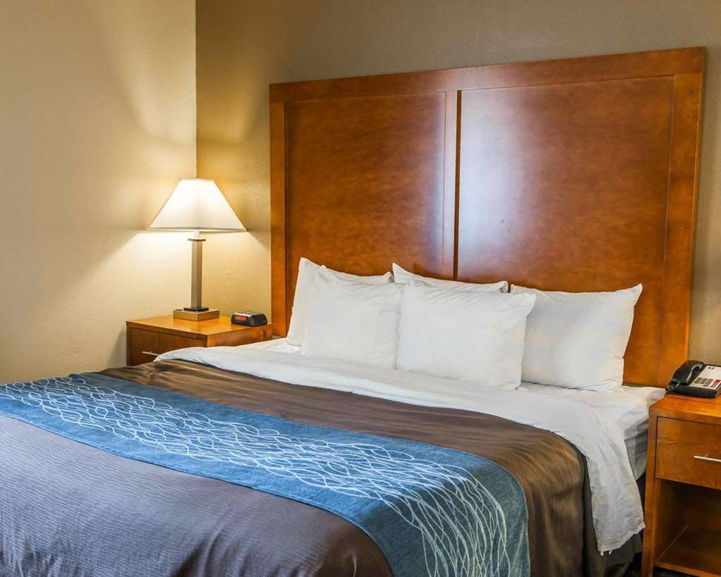 Comfort Inn South Ινδιανάπολη Δωμάτιο φωτογραφία